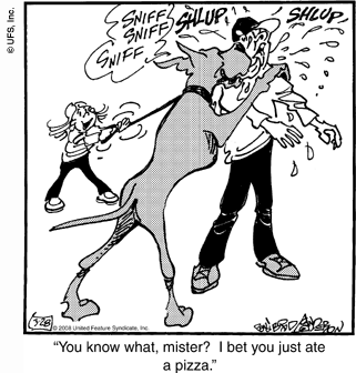 marmaduke
